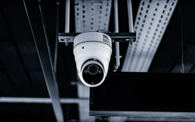 Understanding the Importance of Credit Monitoring